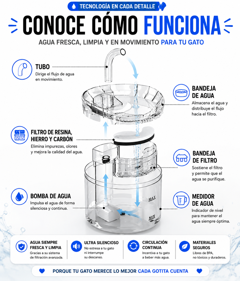AquaPurr